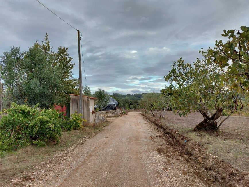 meneixas 24