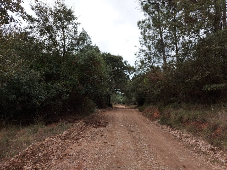 meneixas 26