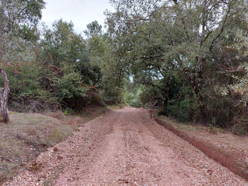 meneixas 27