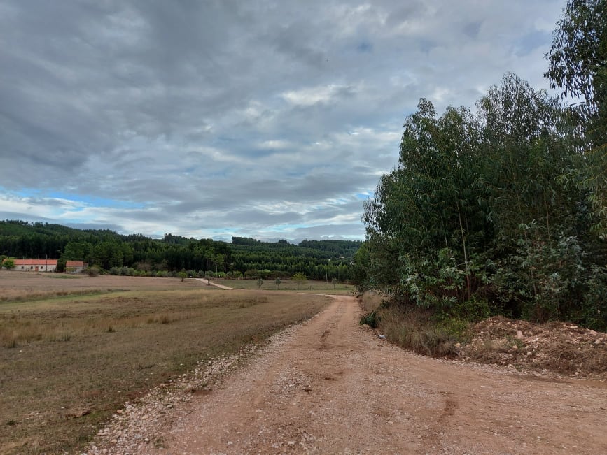 meneixas 28
