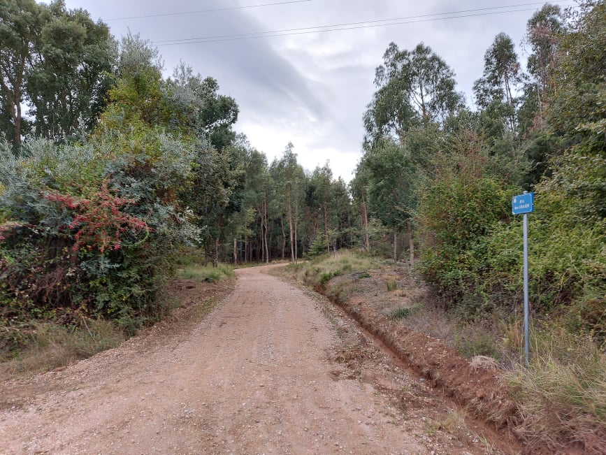 meneixas 7