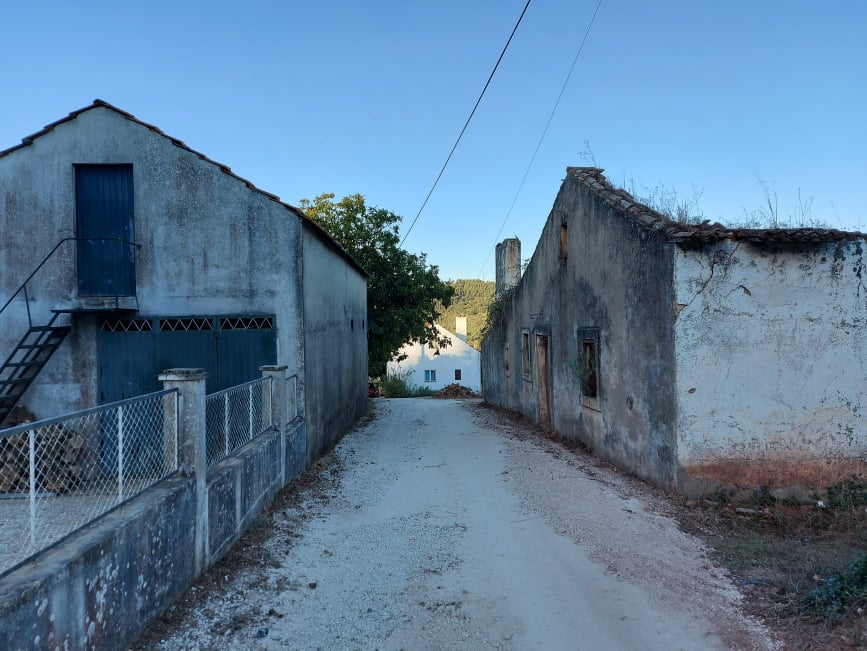 rarsantos 6