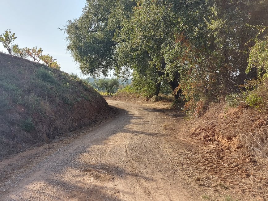 rrobária 10