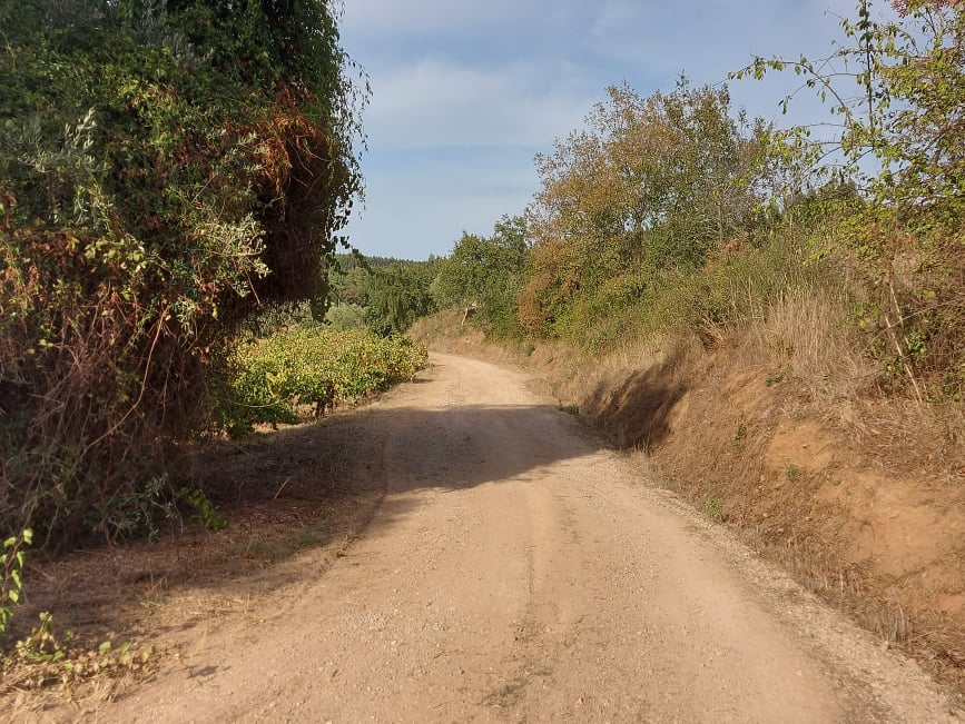 rrobária 12
