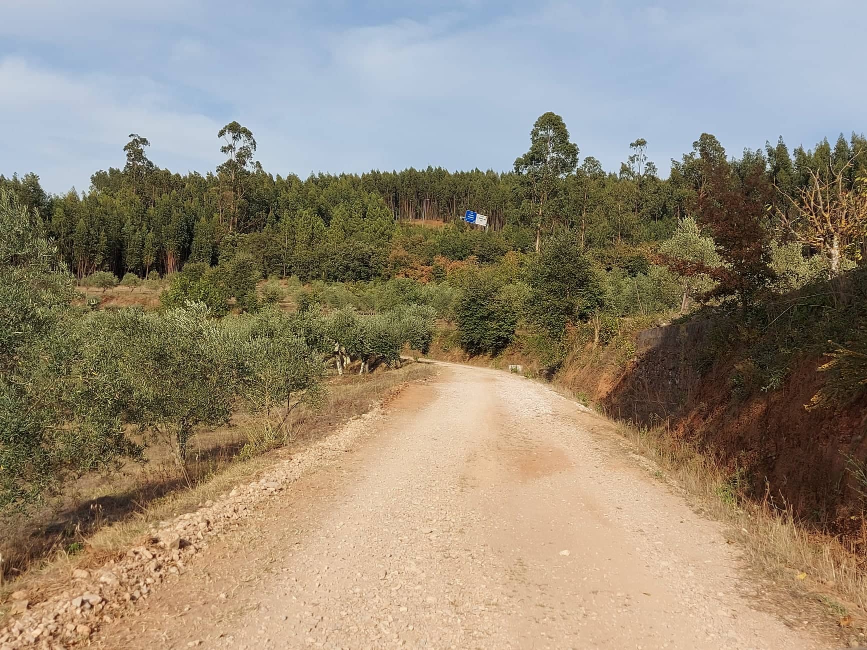 rrobária 14