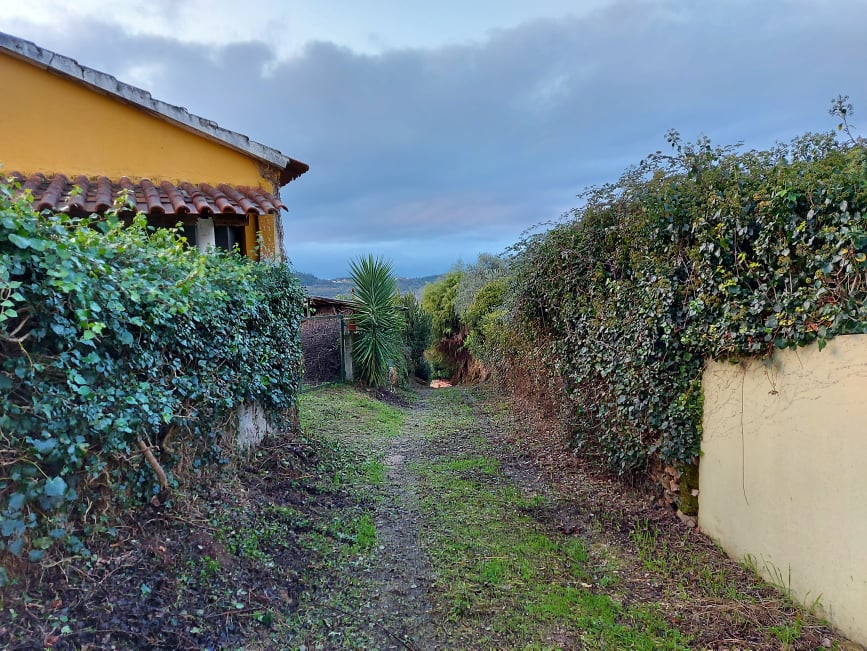 travessaalqueidão 4