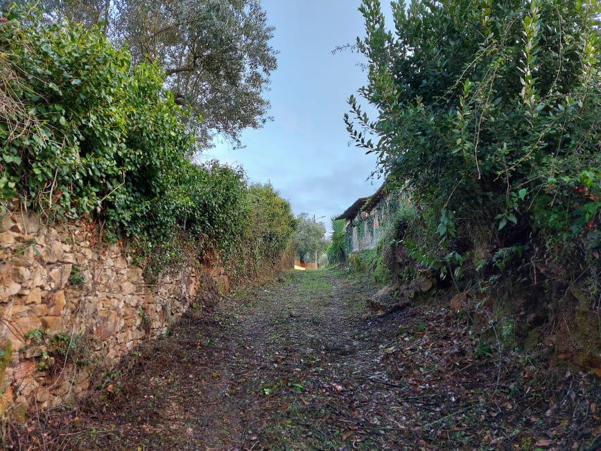 travessaalqueidão 7