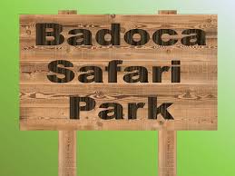pbadoca10