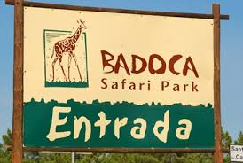pbadoca7