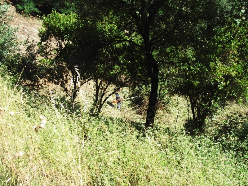 lterrenos4