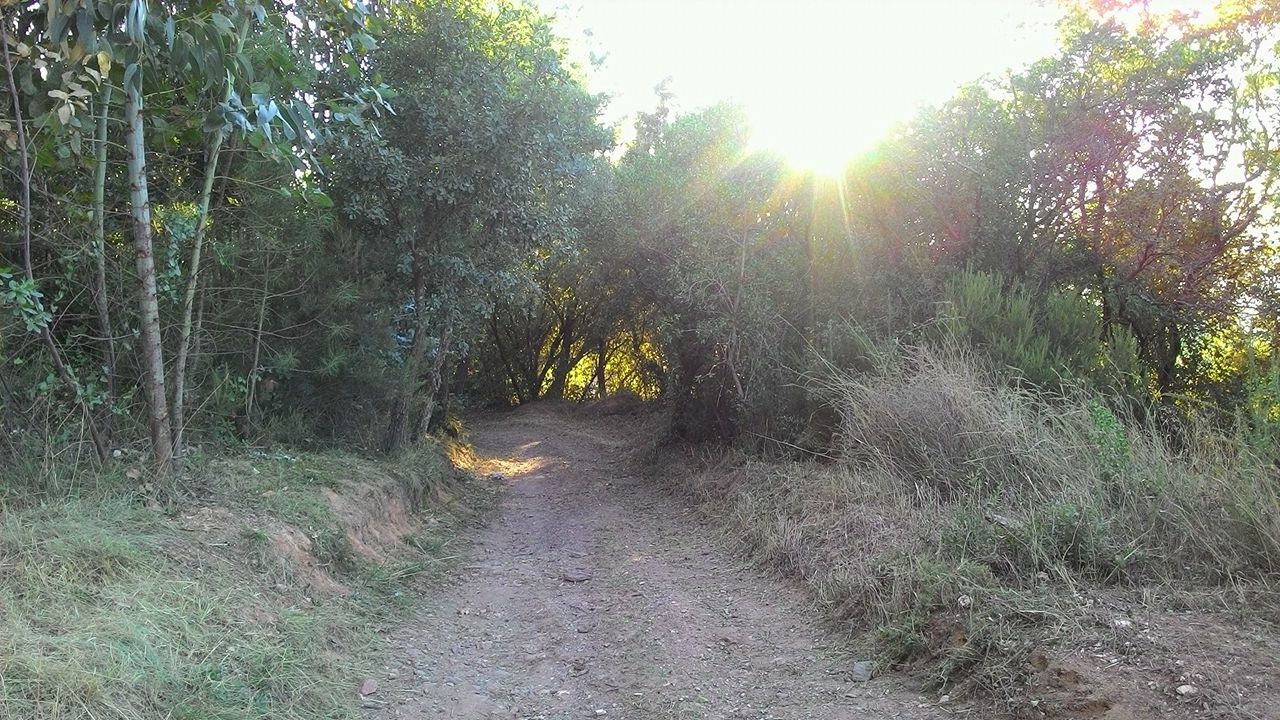 coito 11