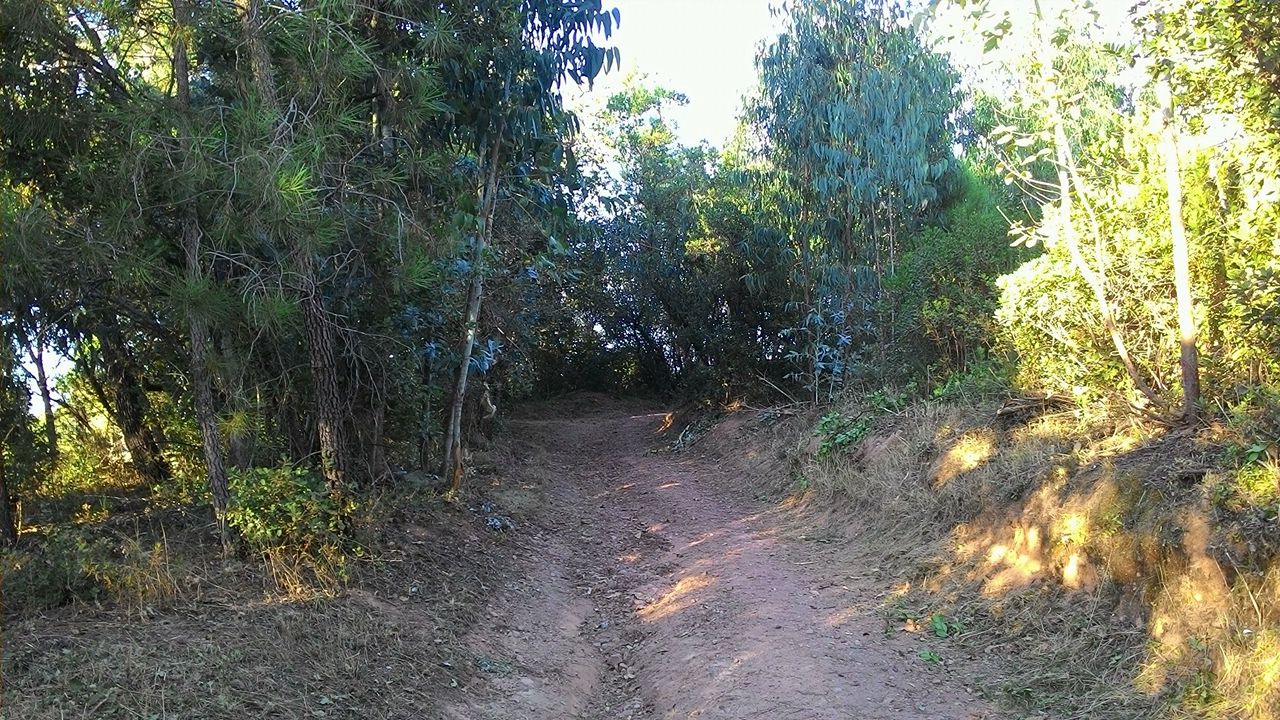 coito 15