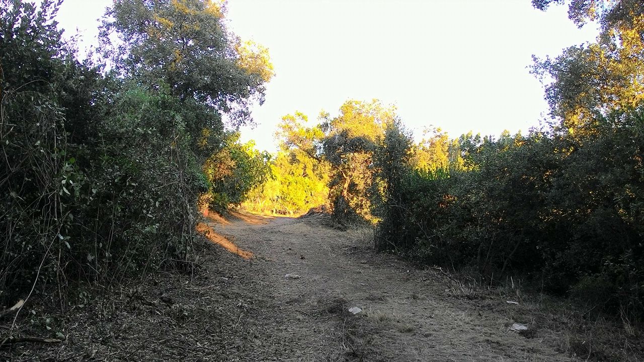 coito 16