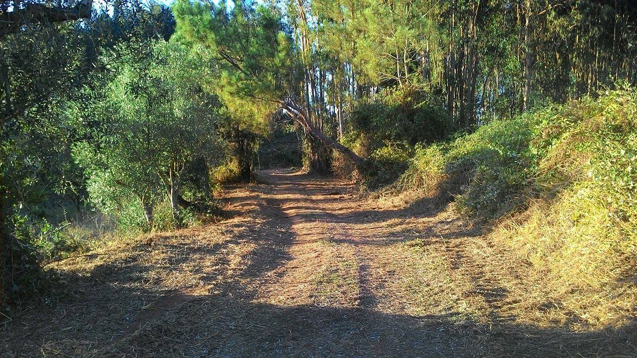 coito 5