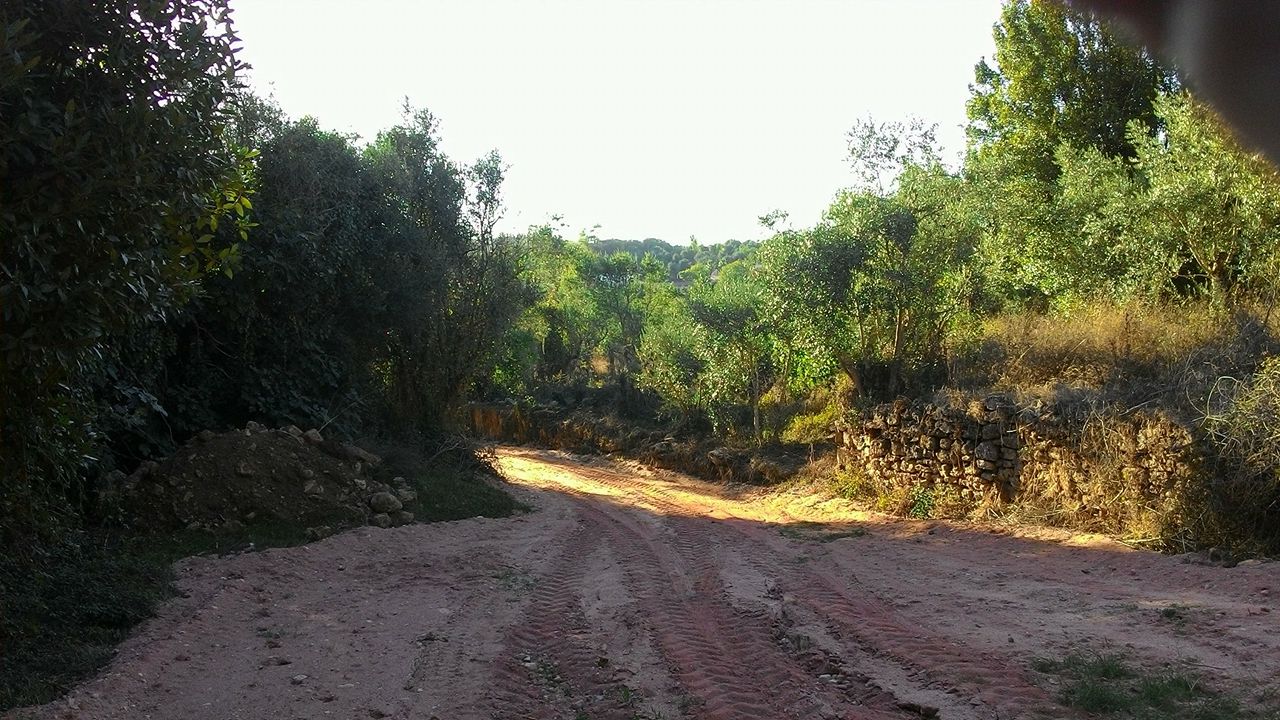 vverde13