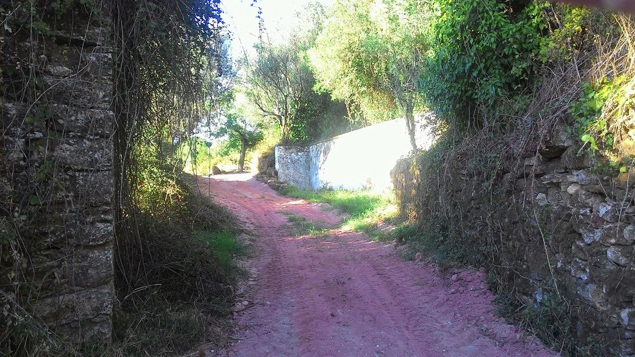 vverde15