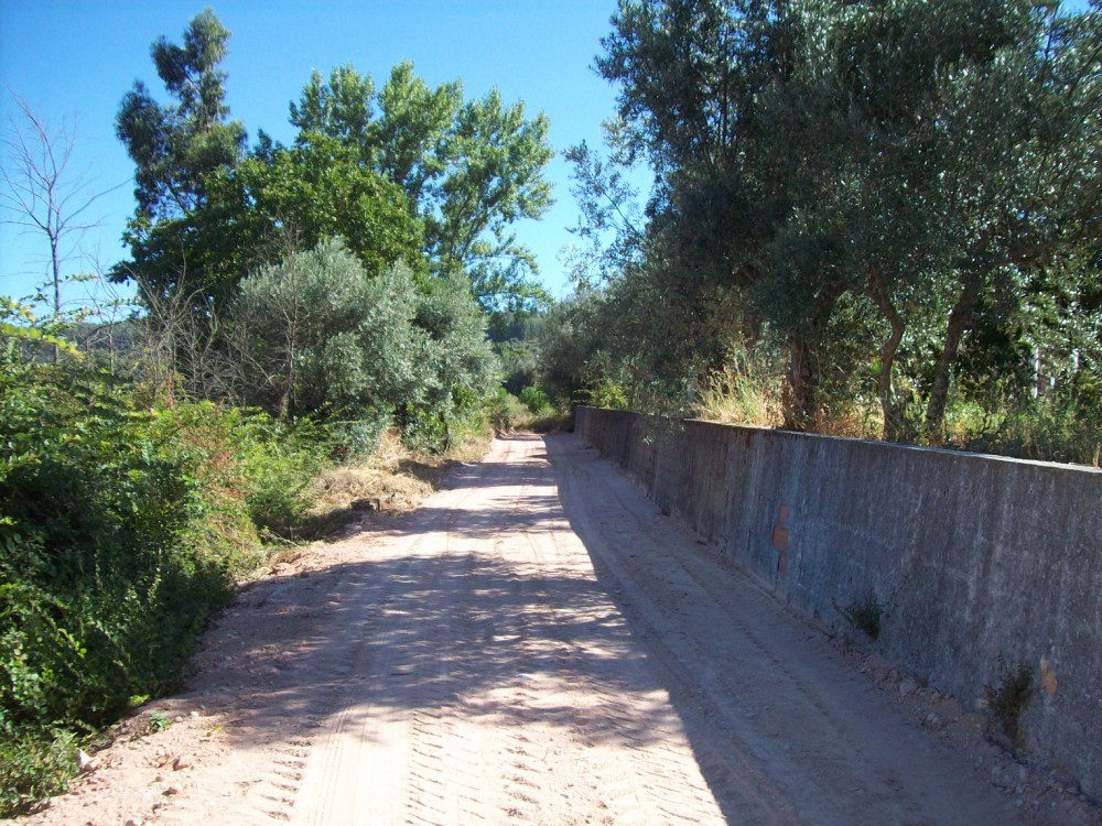 vverde4