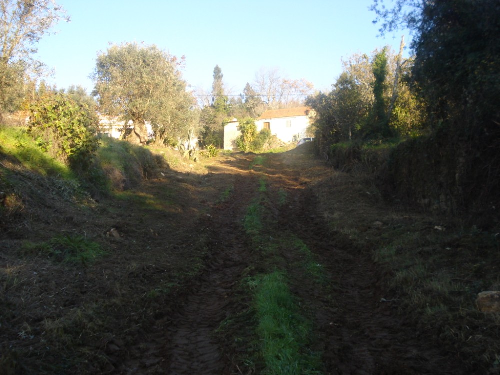 vverde40