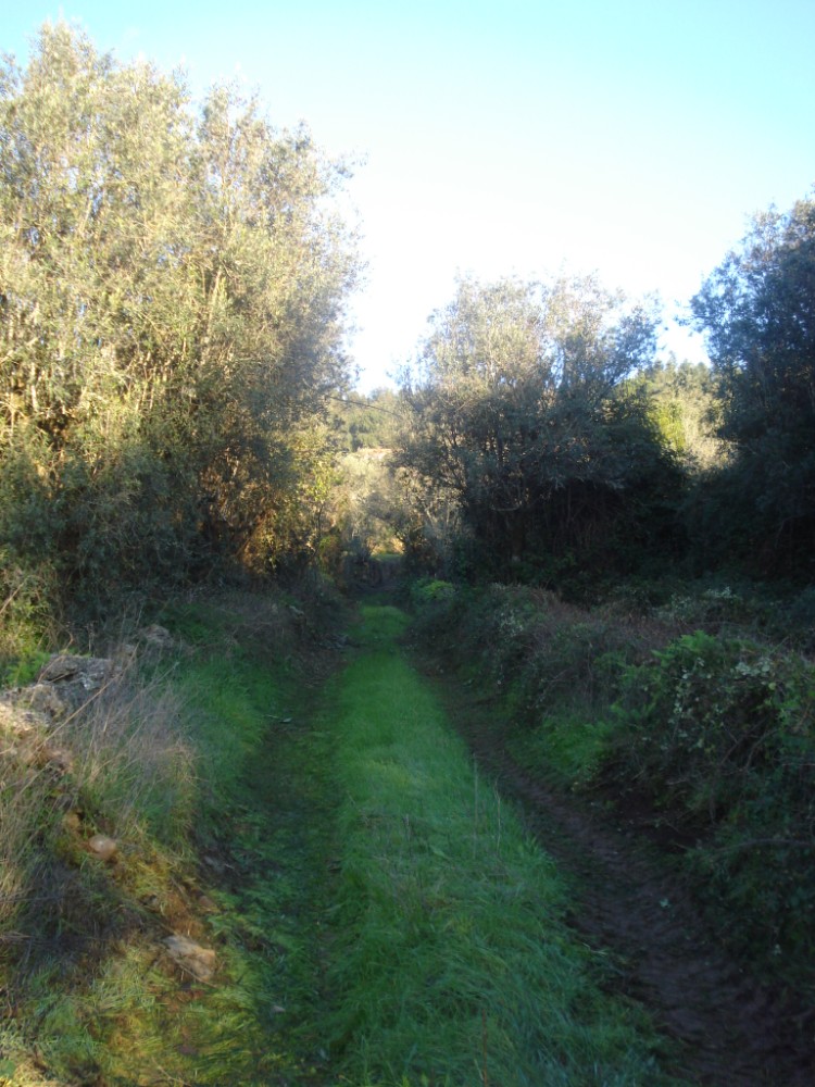 vverde57