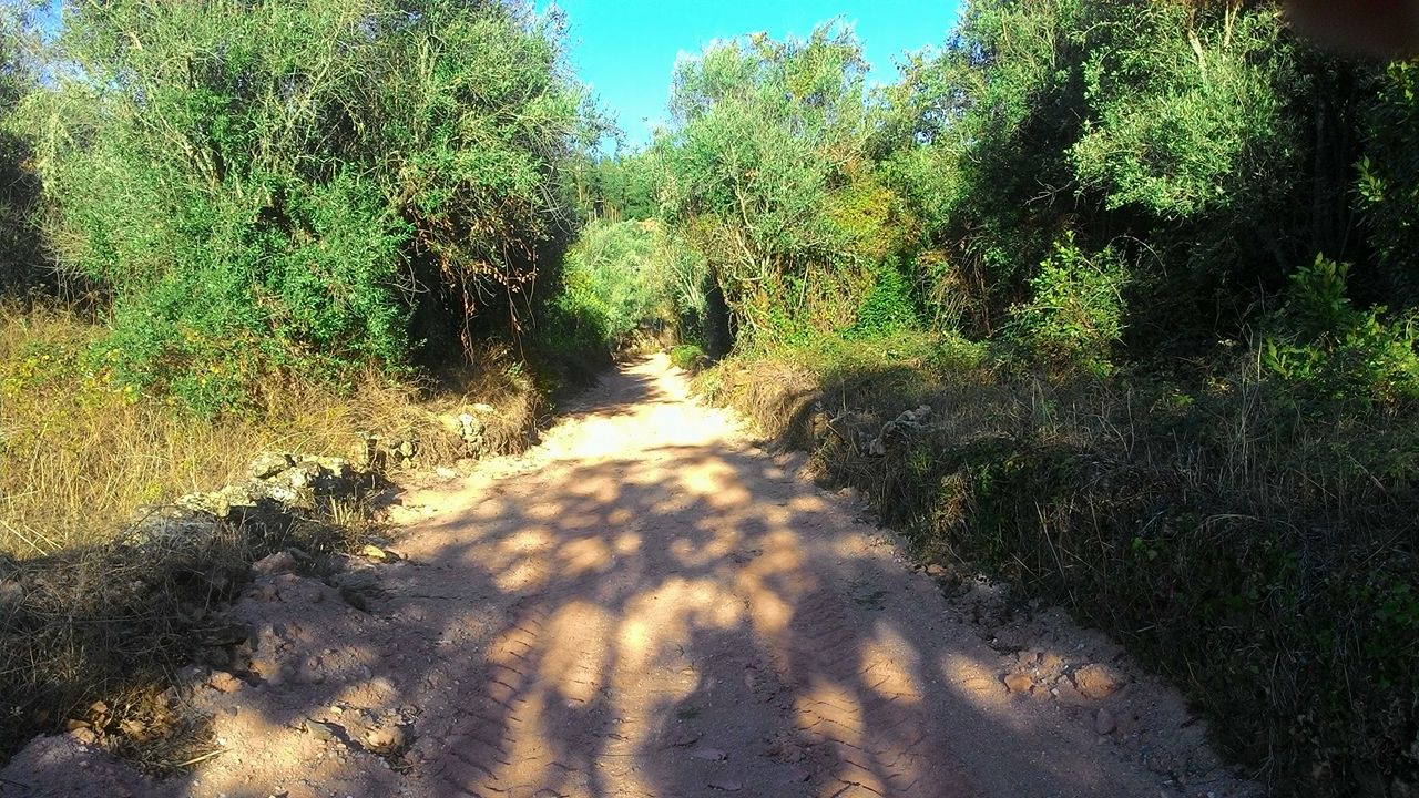 vverde9