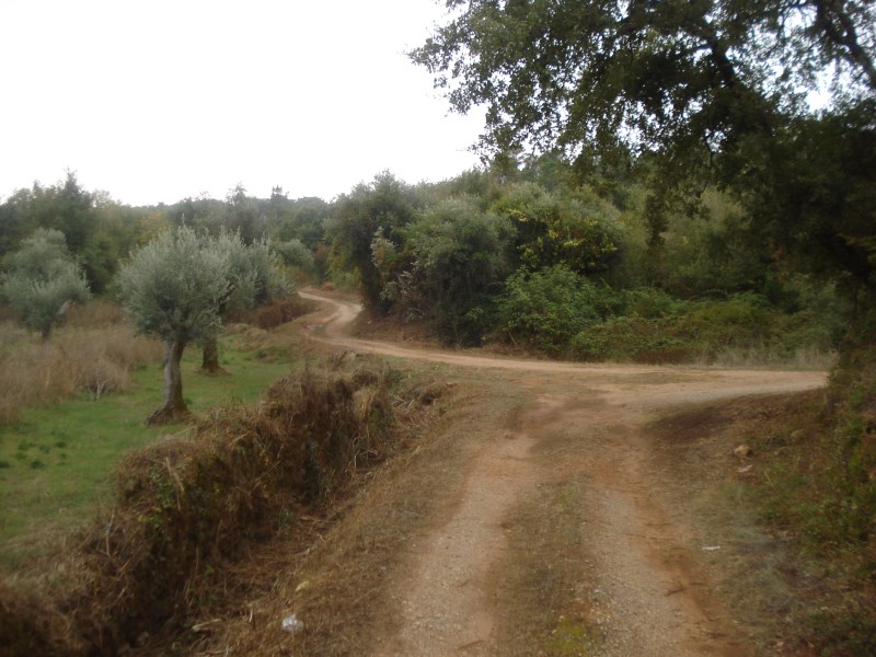cvtremocos2