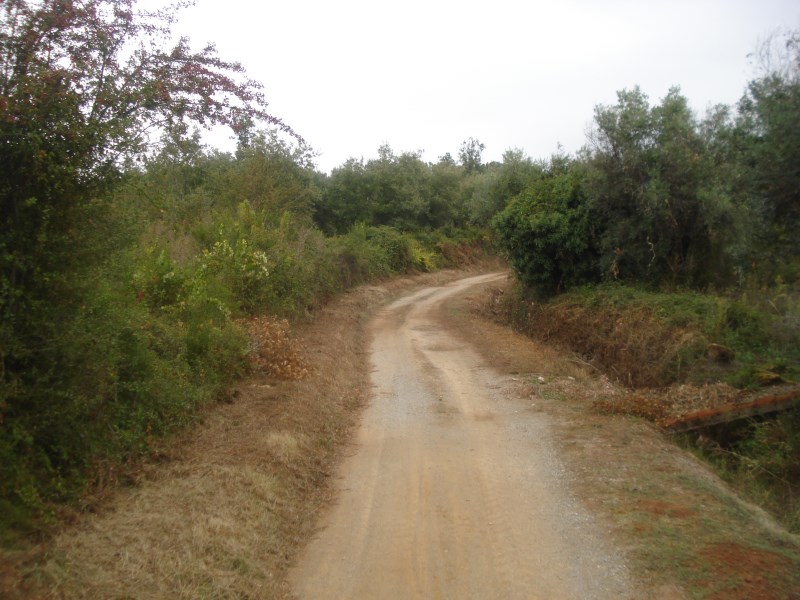 cvtremocos5