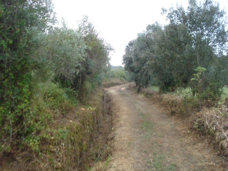rcaleixo16