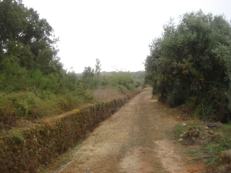 rcaleixo18