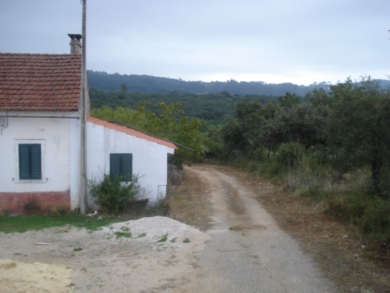 ropovo2