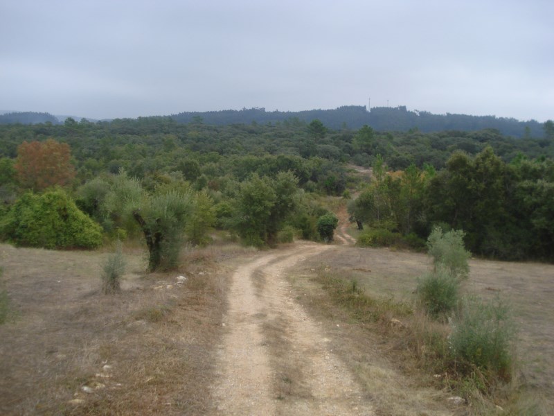 ropovo4