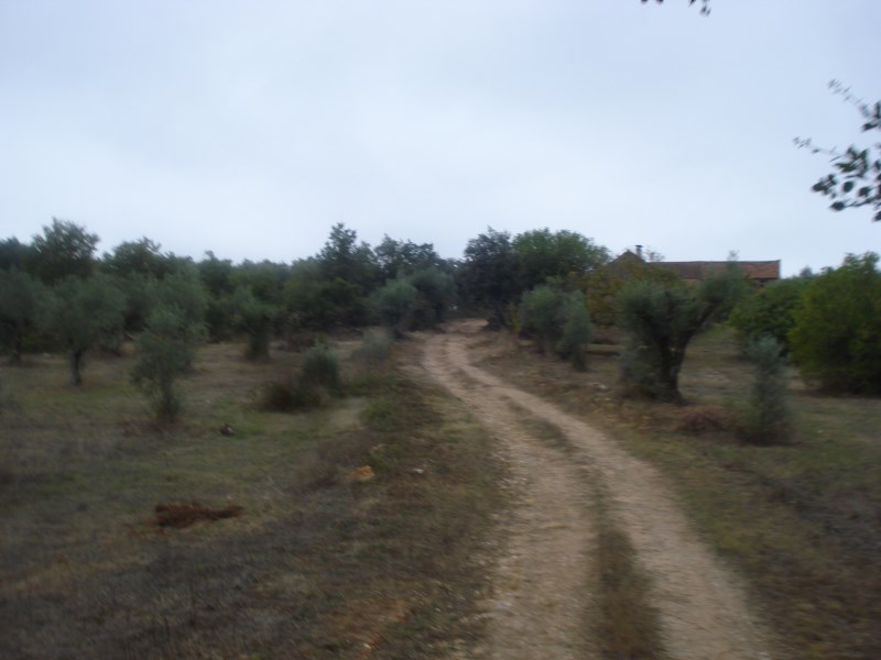 ropovo5
