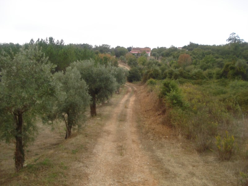 ropovo9