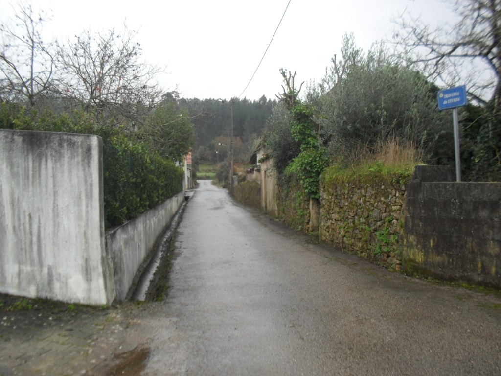 rmurta 10