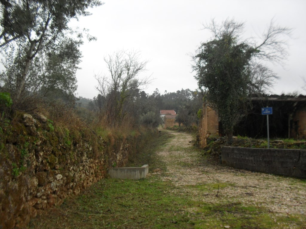 rmurta 13
