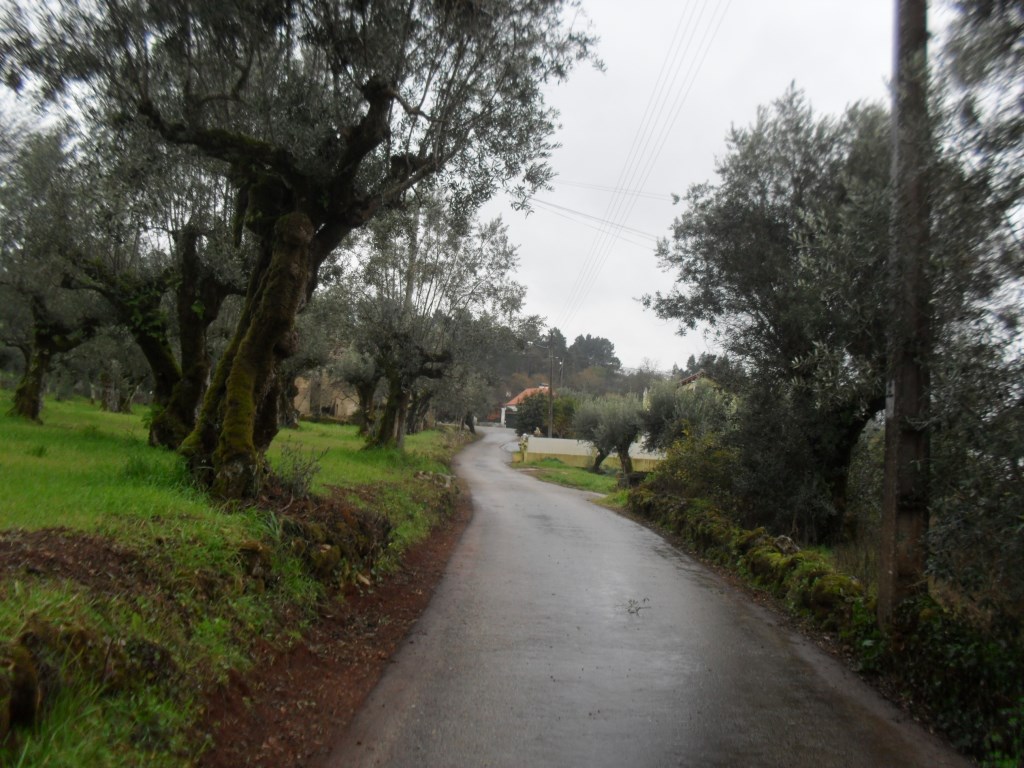 rmurta 14