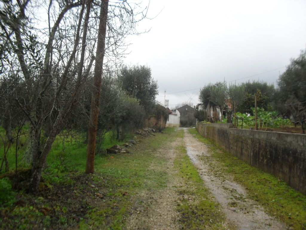 rmurta 15