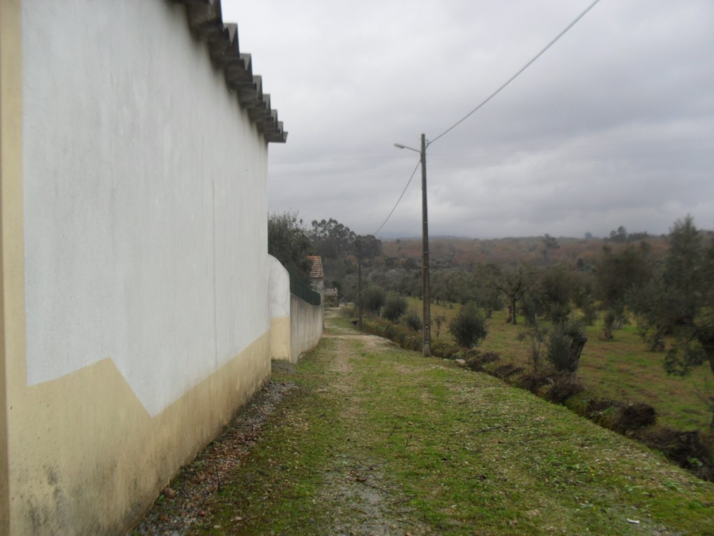 rmurta 16