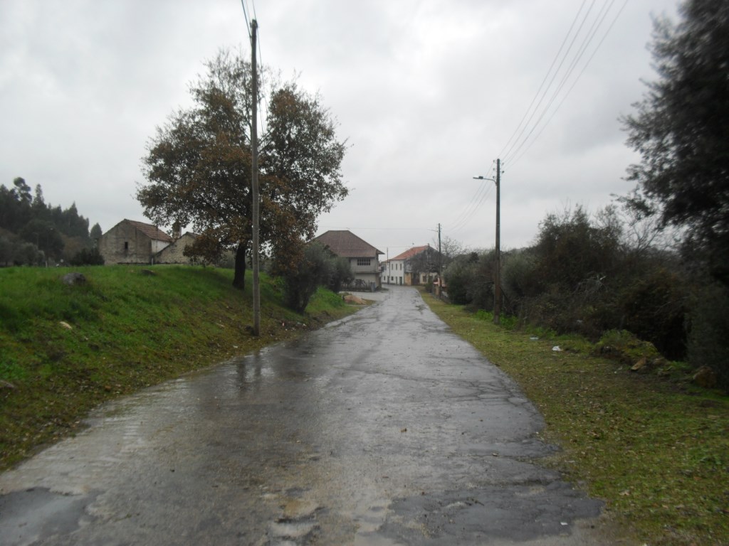 rmurta 2