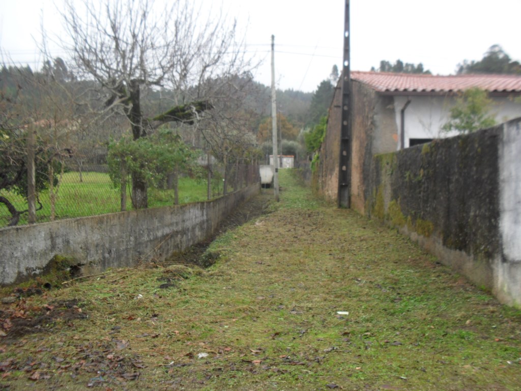 rmurta 4