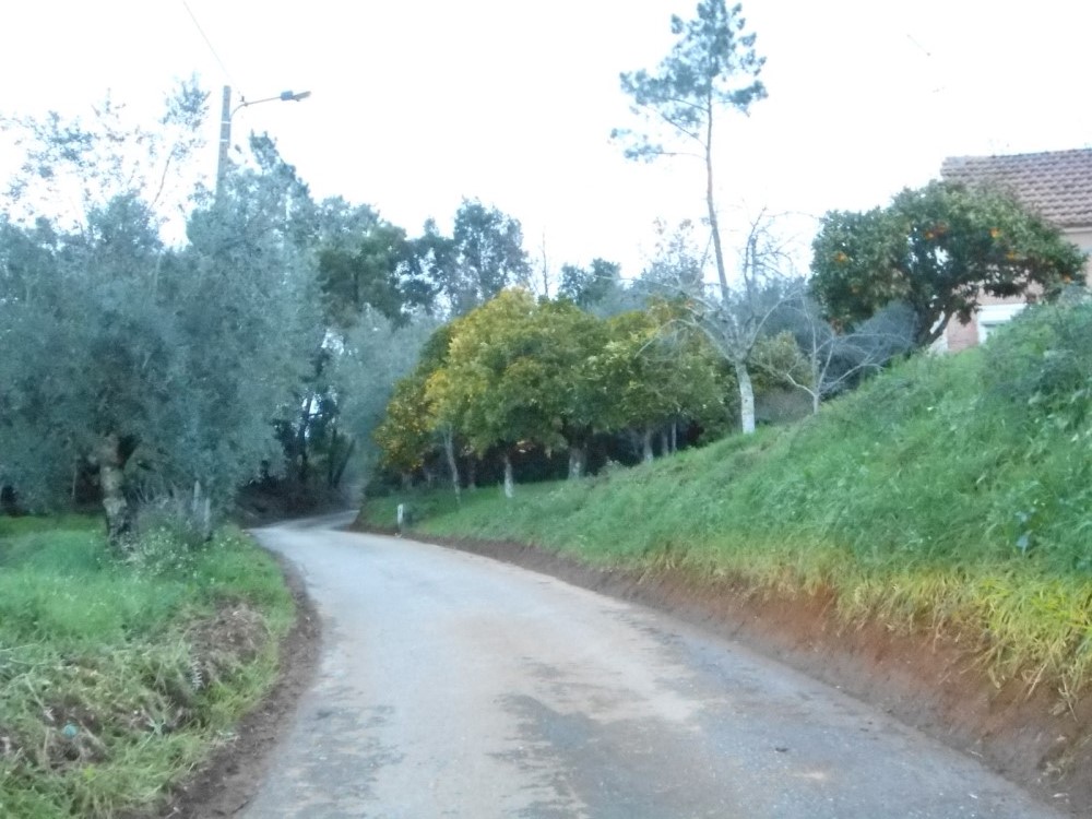 rcoito13a