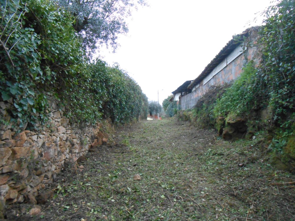 ralqueidao6