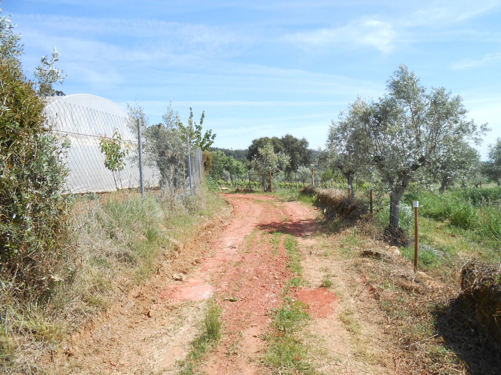 rbijota13