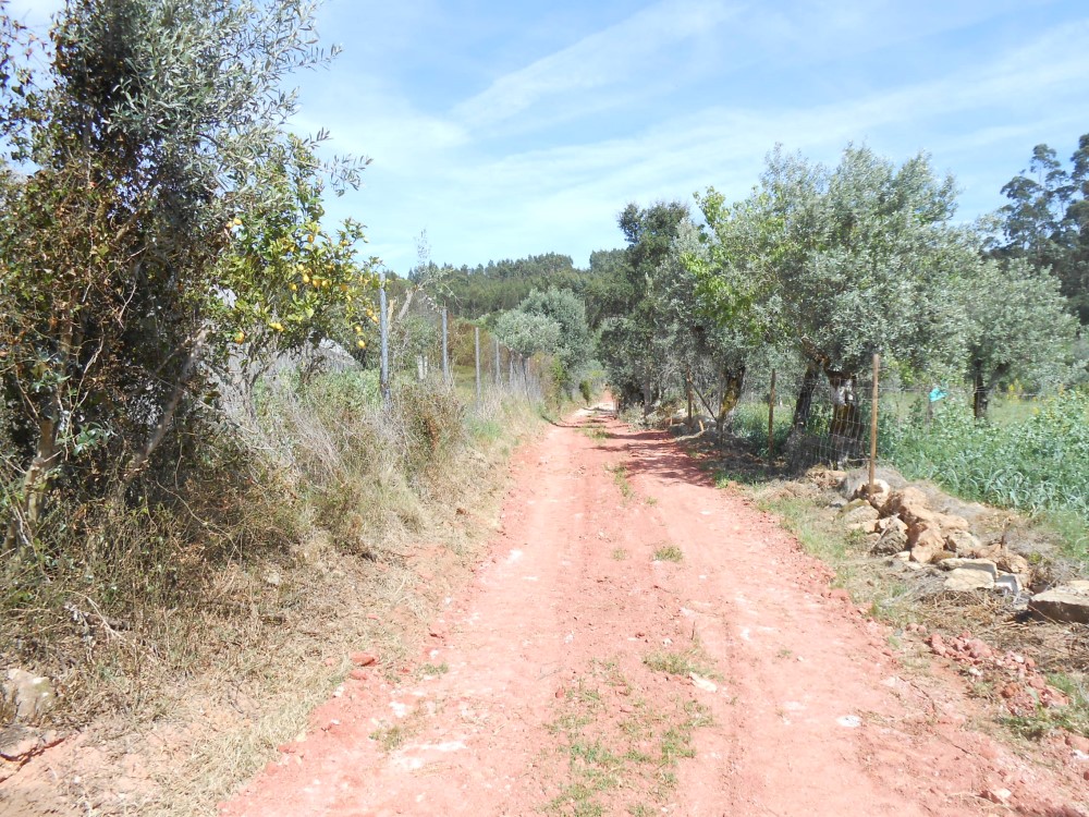 rbijota14