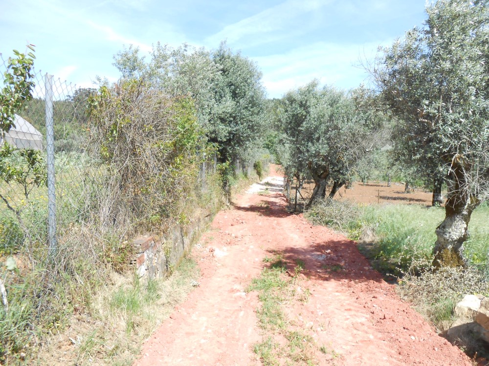 rbijota15