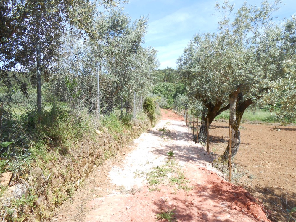 rbijota16