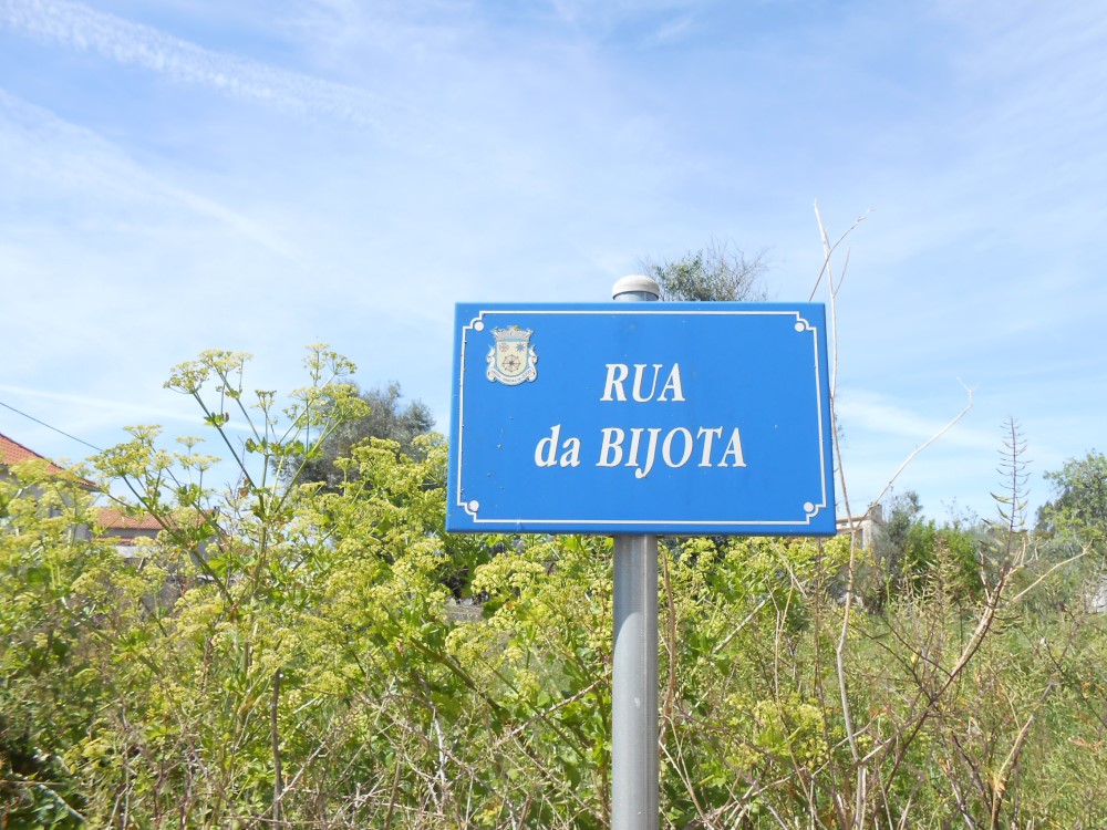 rbijota3