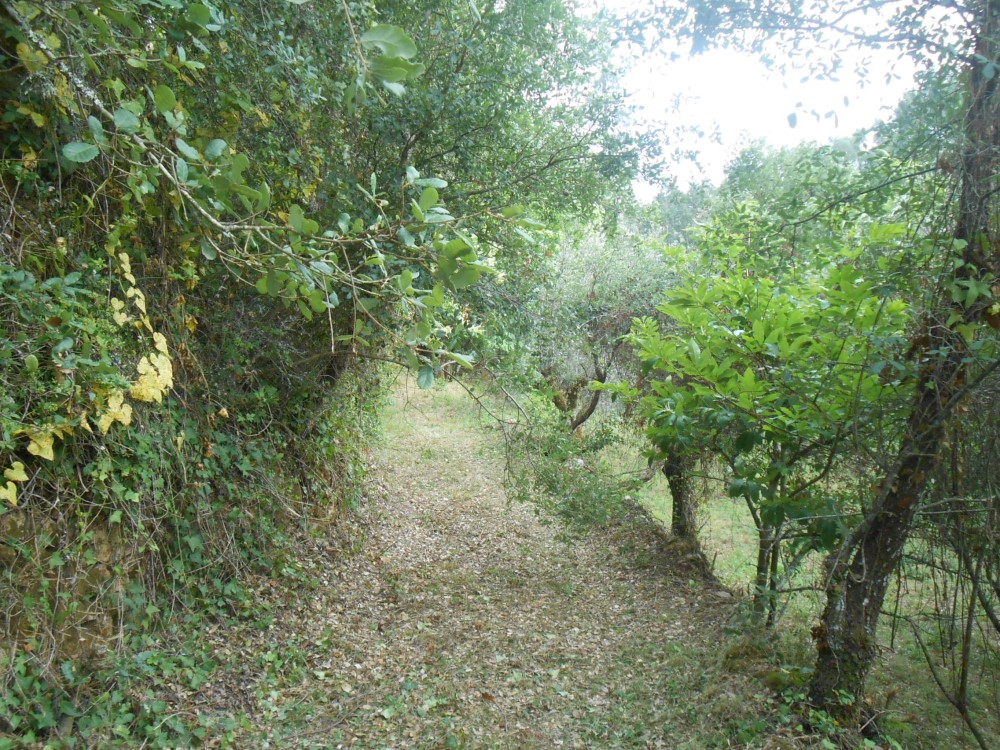 cpinheiro5