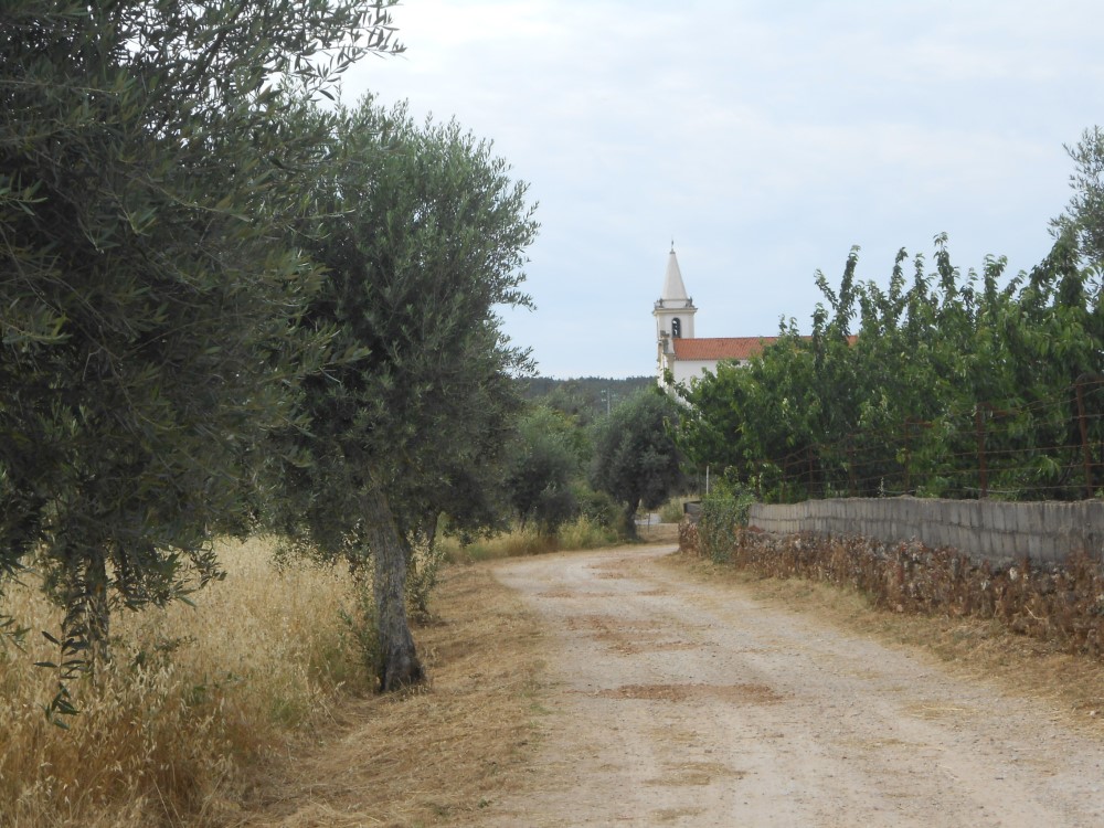 rispedro6