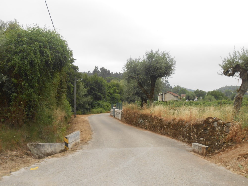 eromana11
