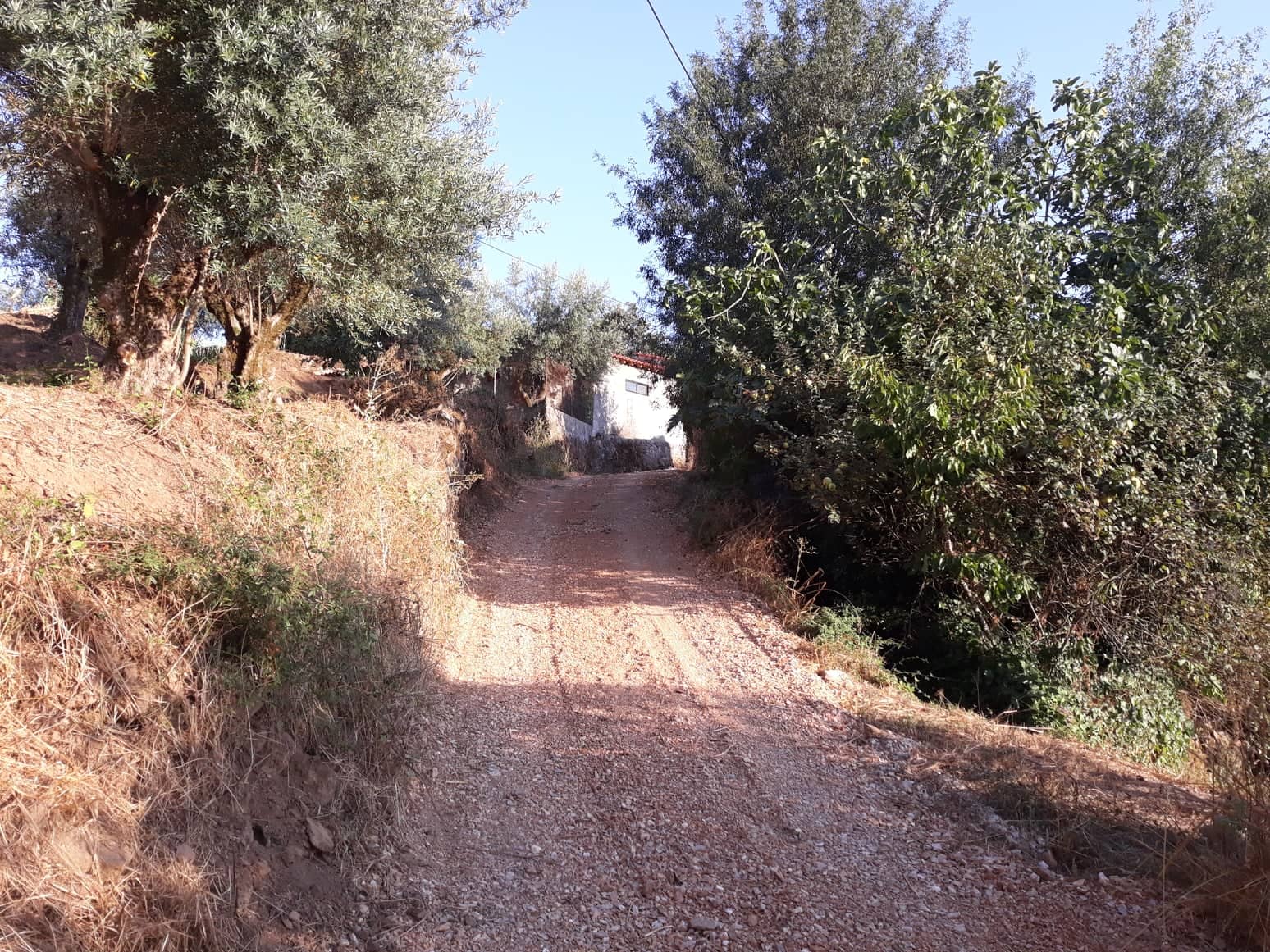rfpedra4
